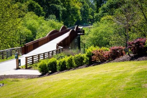 Firefly Trail   Athens GA 06487